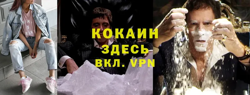 Cocaine Fish Scale  Грайворон 